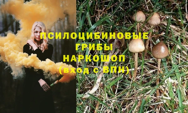 Альфа ПВП Волоколамск