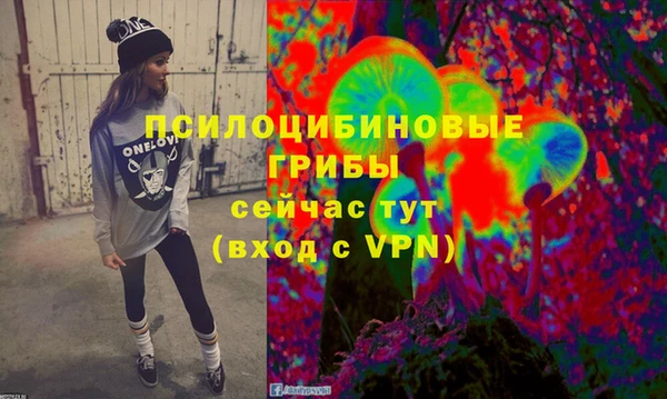 PSILOCYBIN Володарск