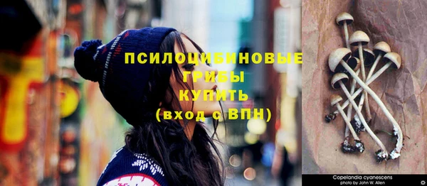 PSILOCYBIN Володарск