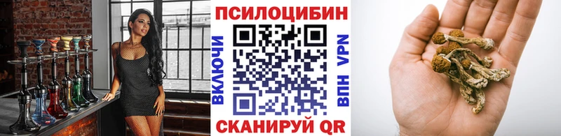 Галлюциногенные грибы Cubensis  Данков 